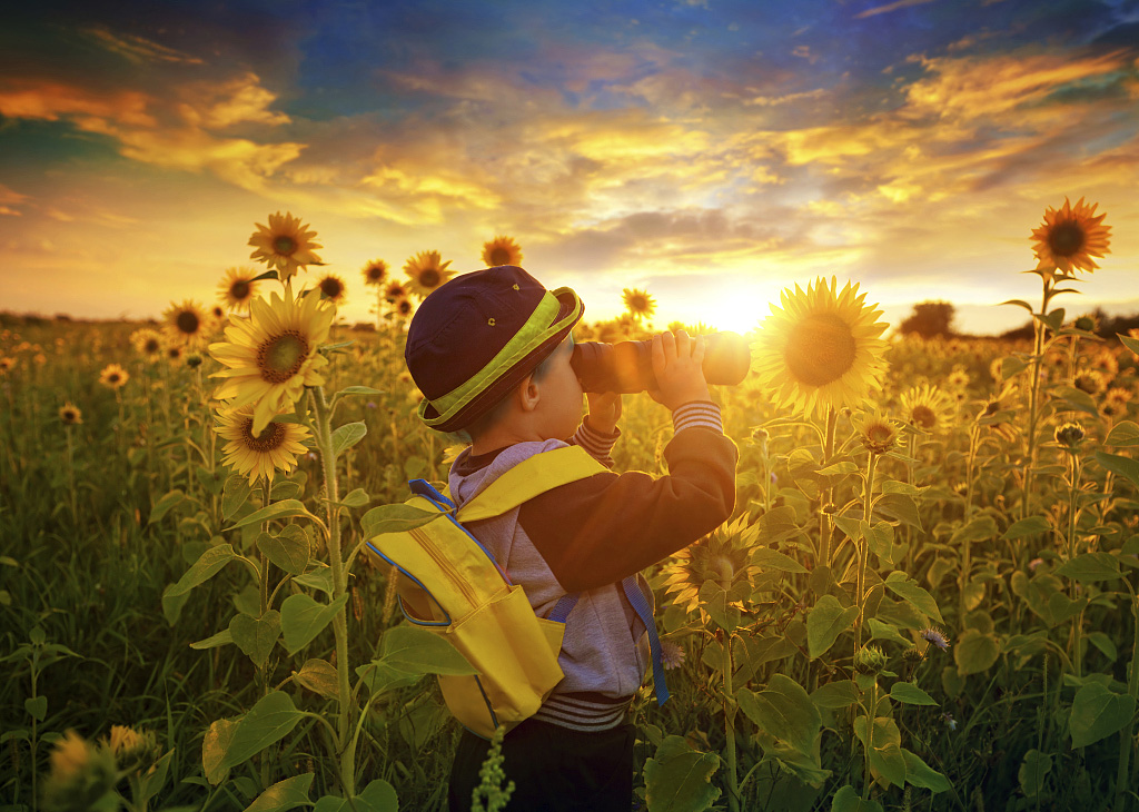 谁能加入幼儿军