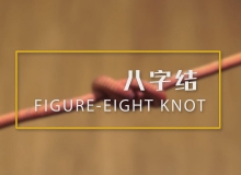 童军初级绳结：八字结